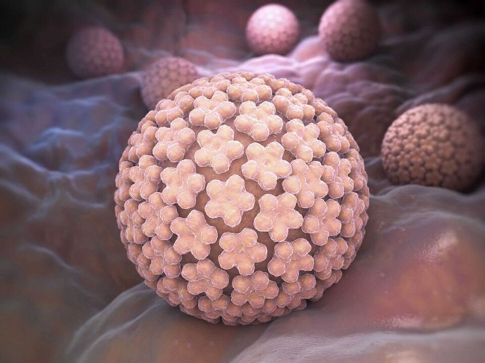 povzročitelji HPV
